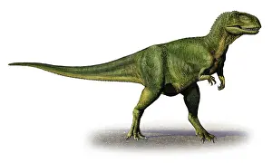 Abelisaurus: Abelisaurus comahuensis, a prehistoric era dinosaur