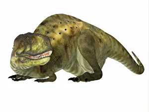 Alertness: Abelisaurus dinosaur lying down, on white background