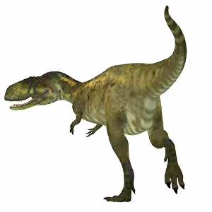 Abelisaurus: Abelisaurus dinosaur, rear view on white background