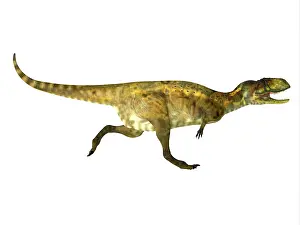 Campanian: Abelisaurus dinosaur running, white background