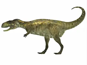 Abelisaurus: Abelisaurus dinosaur, white background