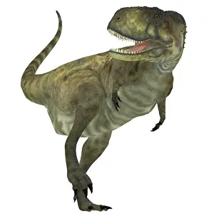 Abelisaurus: Abelisaurus dinosaur, white background