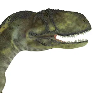 Abelisaurus: Abelisaurus portrait