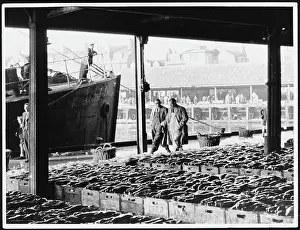 Baskets: ABERDEEN FISH MARKET