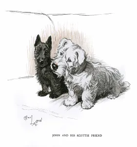 Sealyham: Aberdeen terrier and Sealyham terrier sitting on a sofa