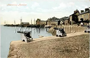 Aberdovey: ABERDOVEY HARBOUR C1903