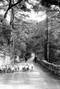 Aberglaslyn: Aberglaslyn, Pass 1913