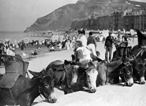 Aberystwyth: Aberystwyth donkeys on the beach, Wales