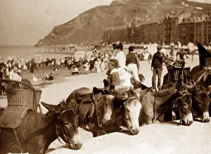 Aberystwyth: Aberystwyth Victorian period