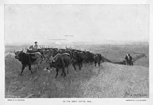Abilene: ABILENE TRAIL OF CATTLE