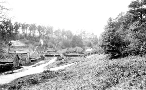Abinger: Abinger, Abinger Bottom 1924