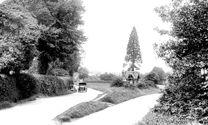 Abinger: Abinger Common, 1924