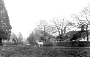 Abinger: Abinger Common, and St James Well 1906