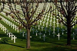 Abmc: ABMC Meuse Argonne Cemetery