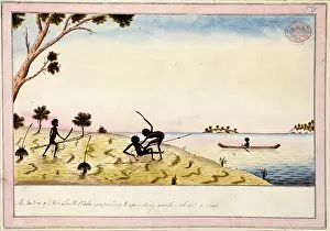 Aborigine: Aboriginal men fighting in a landscape
