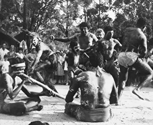 Obese: ABORIGINE DANCERS