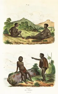 Homme: Aborigines of Sydney Cove and Paramatta, Australia