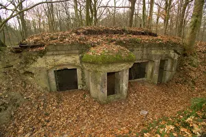 Steeply: Abri de Kronprinz - Argonne