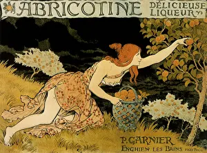 Grasset: Abricotine