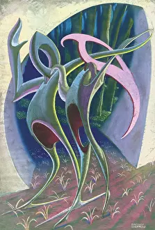 Sheppard: Abstract design with bird shapes