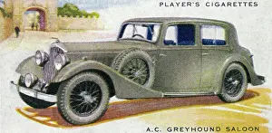 Sleek: A.C. Greyhound