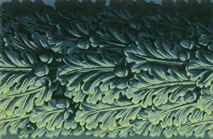 Acanthus: Acanthus Leaves