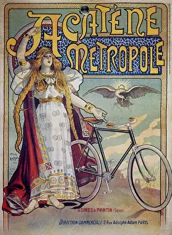 Metropole: ACATENE METROPOLE