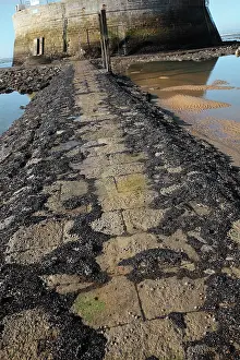 Verdon: Access path, Cordouan Lighthouse, Gironde, Aquitaine, France
