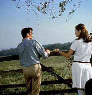 Sassard: Accident (1967)