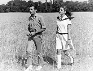 Bogarde: ACCIDENT