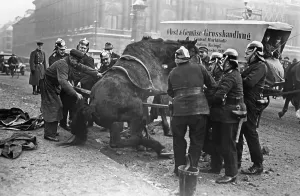 Slippery: Accident with a horse, 1927