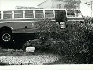 Overrun: Accidents - Disasters - Fires - Floods - Tragedies