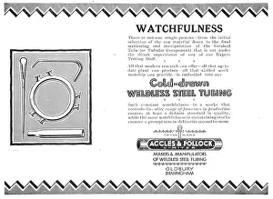 Accles: Accles & Pollock Watchfulness Is Not One Single Process