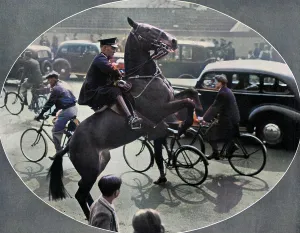 Inexperienced: Accustoming a horse to traffic before the Coronation