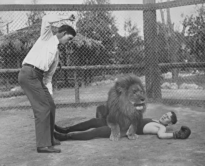 Wildcat: Ace Hudkins with a lion, 1926