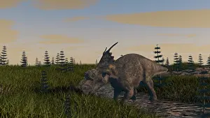 Achelousaurus: Achelousaurus grazing in swamp