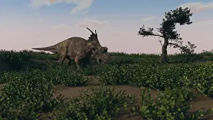 Achelousaurus: Achelousaurus walking amongst swamp grass