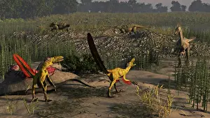 Mongolia: Achillobator, Segnosaurus and Talarurus during