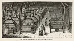 Looms: Ackroyd's Loom-Shed