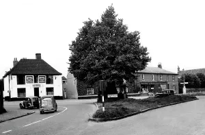 Acle: Acle, the Folly Tree c1950