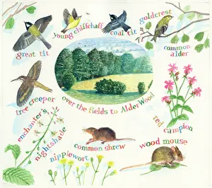 Acres: A Hundred Acres