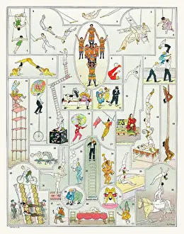 Acrobats: Acrobates - acrobats
