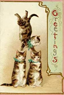 Acrobatics: Three acrobatic cats on a greetings card