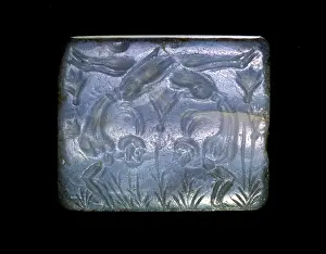 Chalcedony: Acrobats