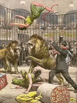 Uninvited: ACROBATS FALLS/LION CAGE