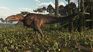 Allosaurid: Acrocanthosaurus dinosaur roaming a Cretaceous landscape