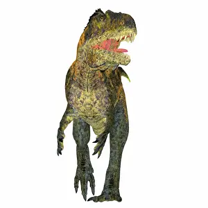 Menacing: Acrocanthosaurus dinosaur, front view on white background