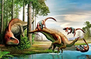 Prowling: An Acrocanthosaurus observes a Tenontosaurus being attacked