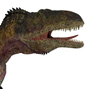 Allosauroid: Acrocanthosaurus portrait on white background