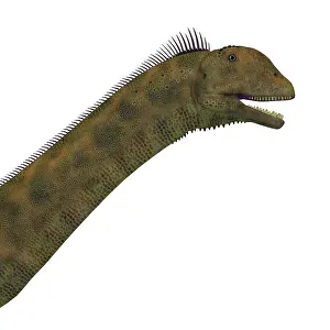 Bathonian: Acrocanthosaurus portrait on white background